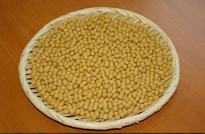 無農薬有機栽培の大豆